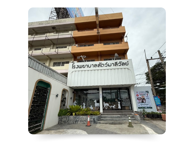 โรงพยาบาลสัตว์มาลีวัลย์